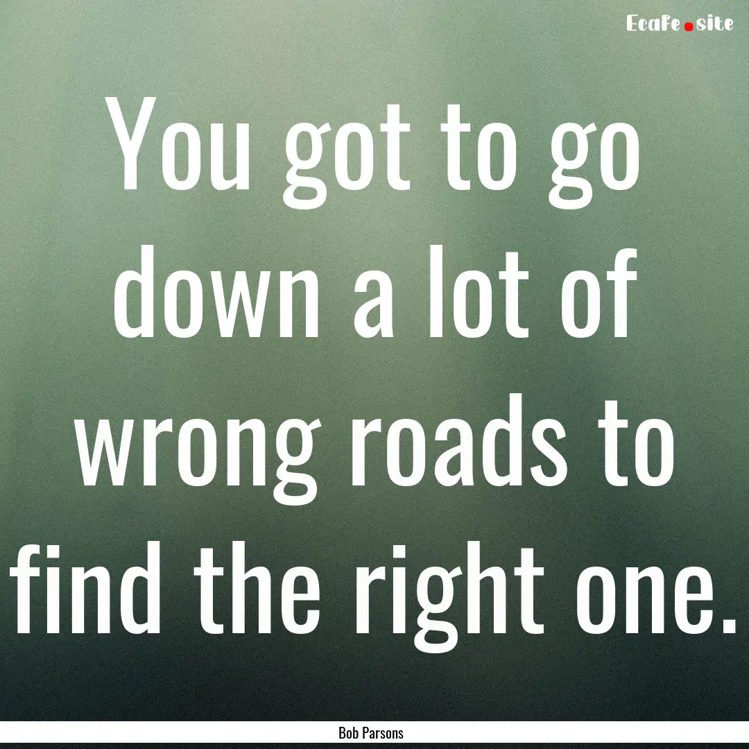 You got to go down a lot of wrong roads to.... : Quote by Bob Parsons