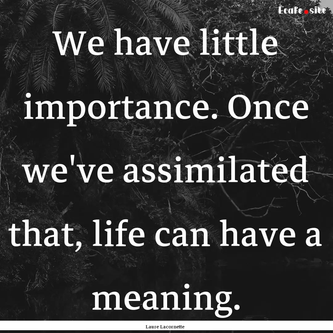 We have little importance. Once we've assimilated.... : Quote by Laure Lacornette