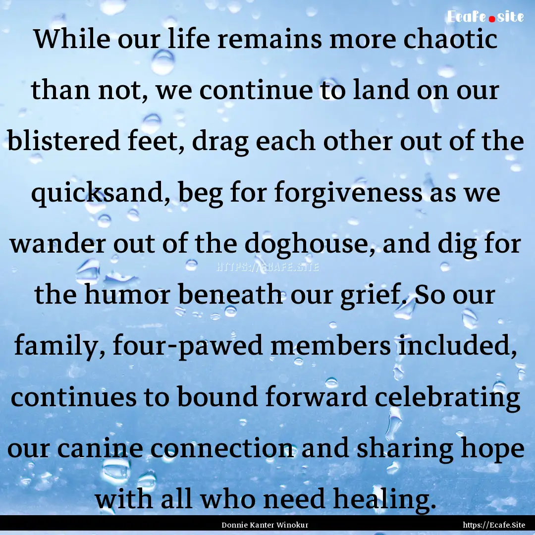 While our life remains more chaotic than.... : Quote by Donnie Kanter Winokur