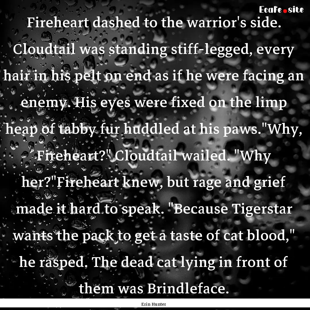 Fireheart dashed to the warrior's side. Cloudtail.... : Quote by Erin Hunter