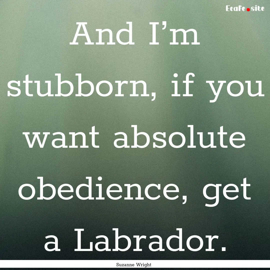 And I’m stubborn, if you want absolute.... : Quote by Suzanne Wright