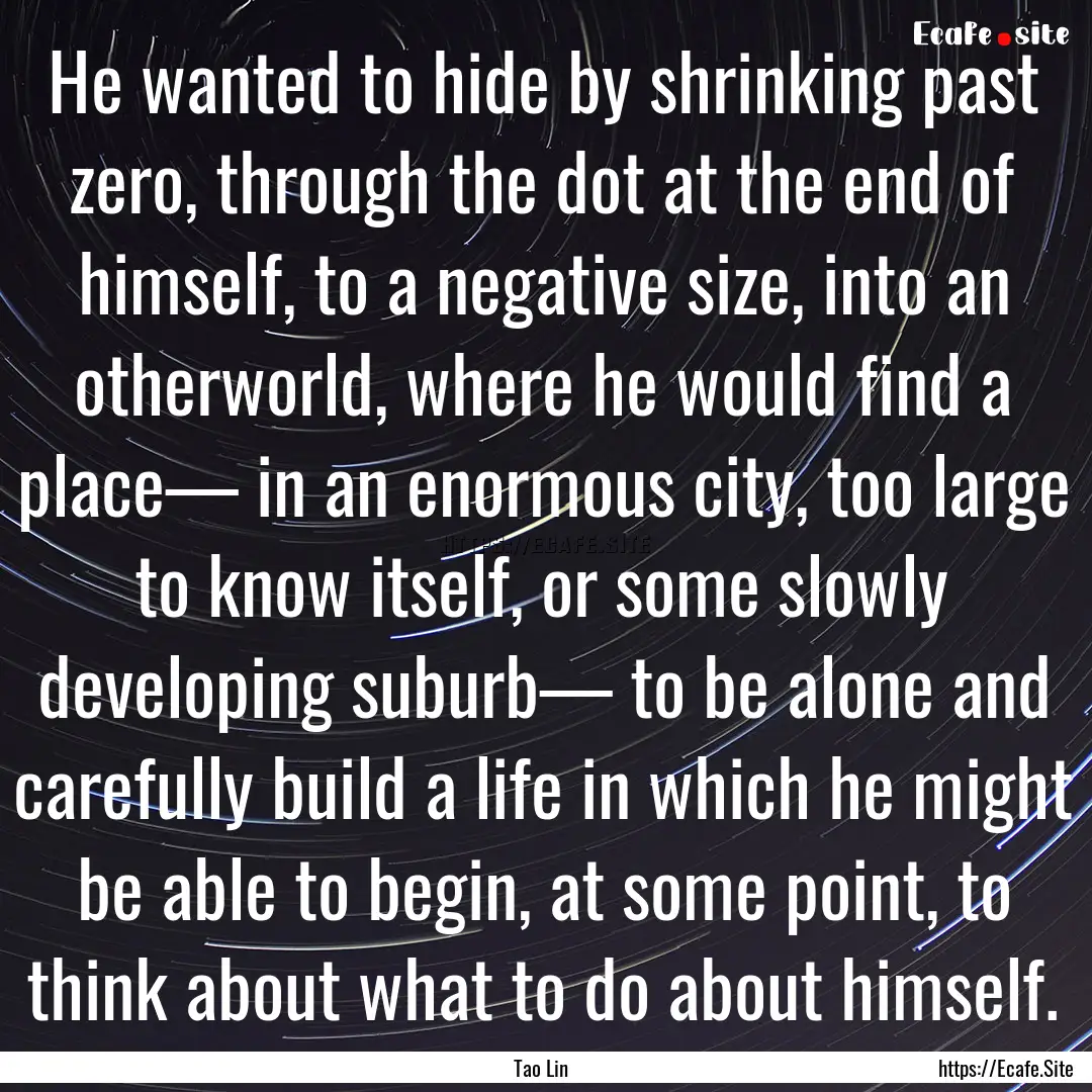 He wanted to hide by shrinking past zero,.... : Quote by Tao Lin