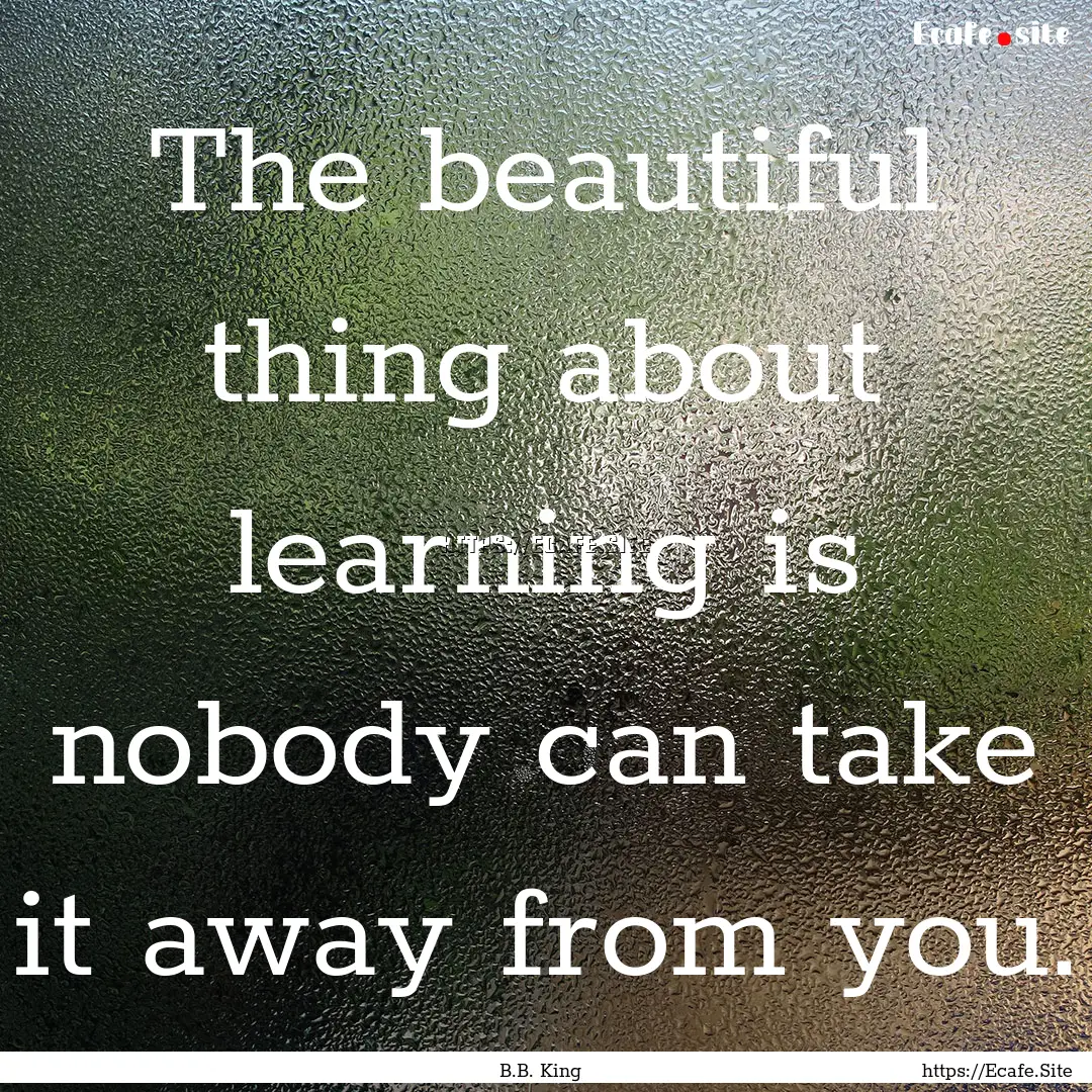 The beautiful thing about learning is nobody.... : Quote by B.B. King