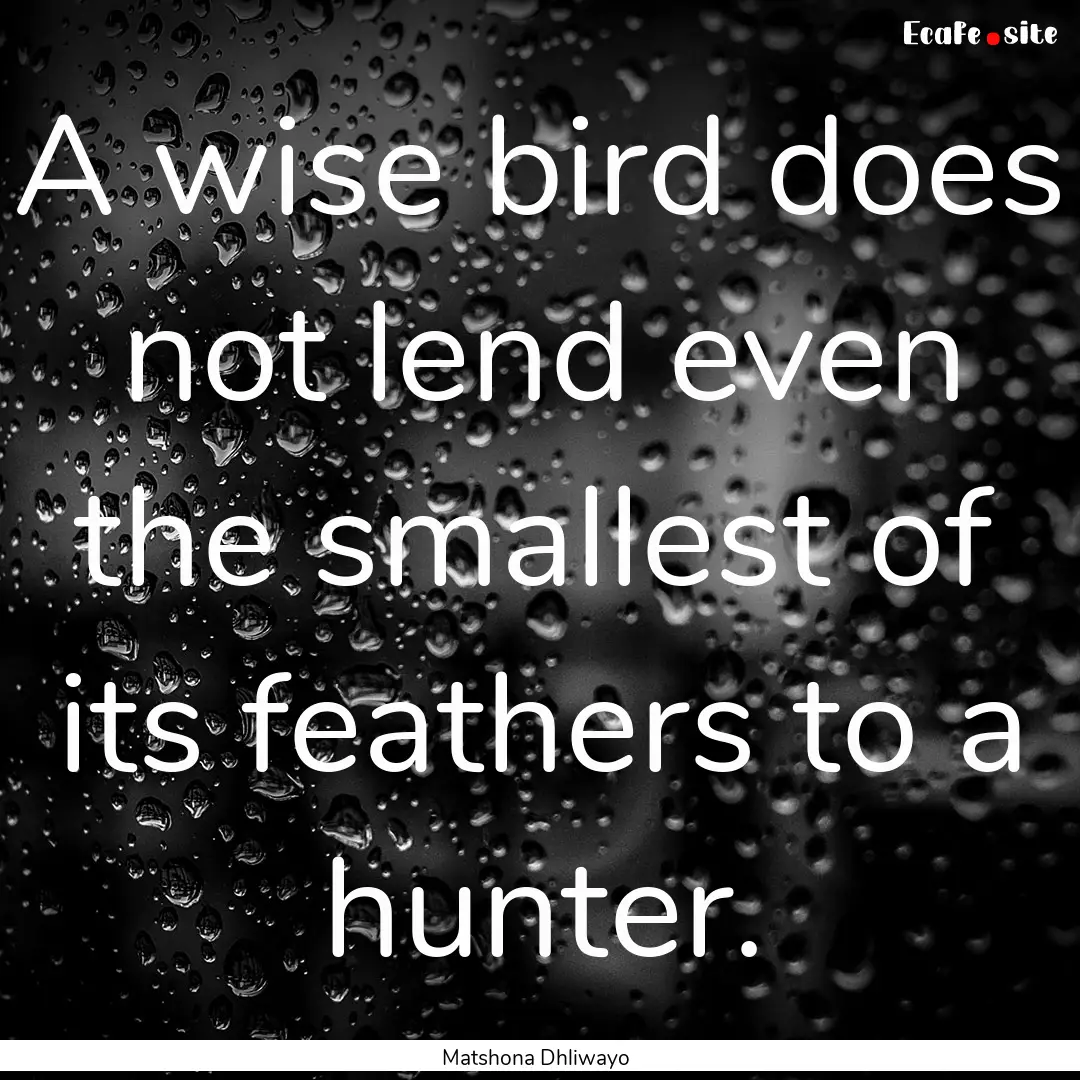 A wise bird does not lend even the smallest.... : Quote by Matshona Dhliwayo