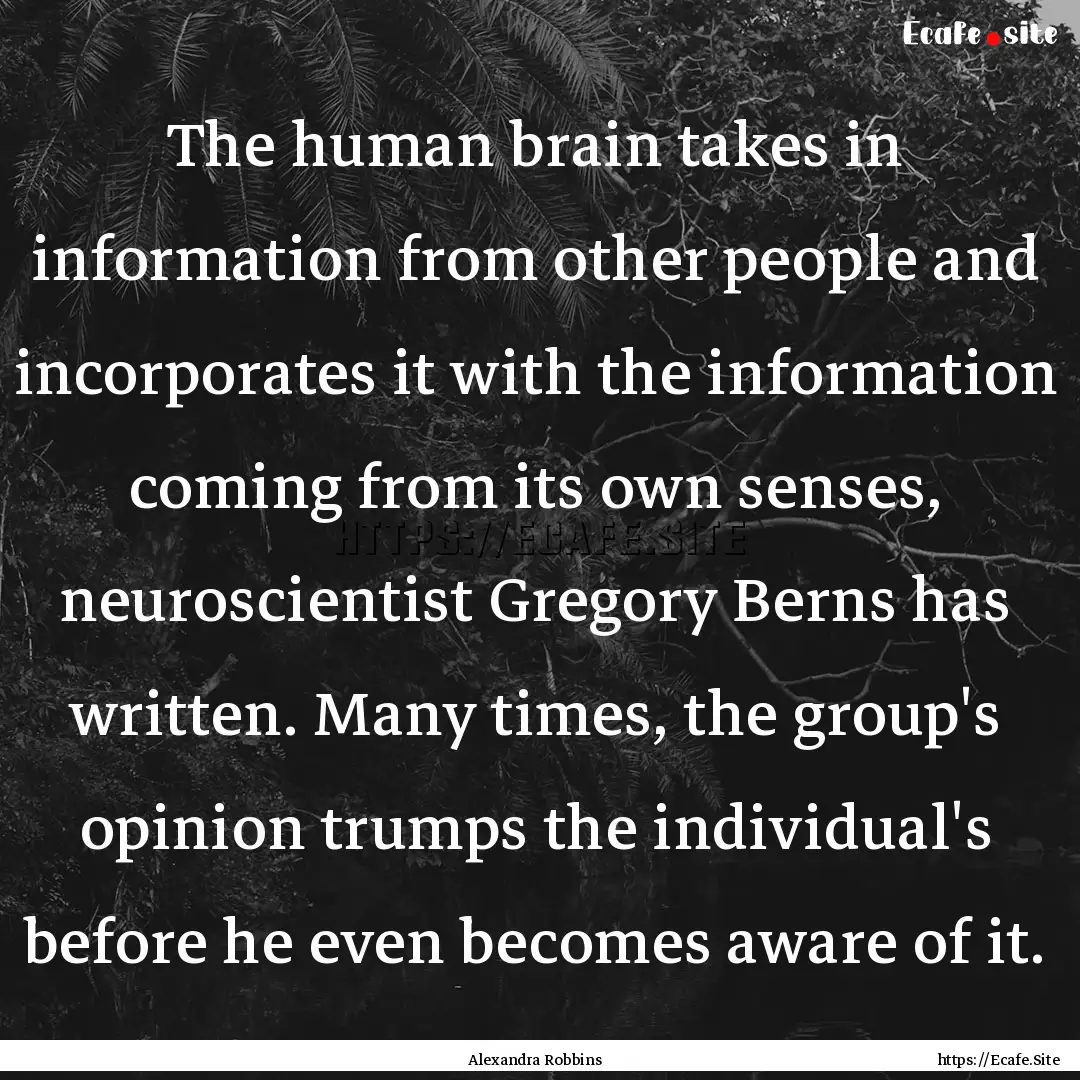 The human brain takes in information from.... : Quote by Alexandra Robbins