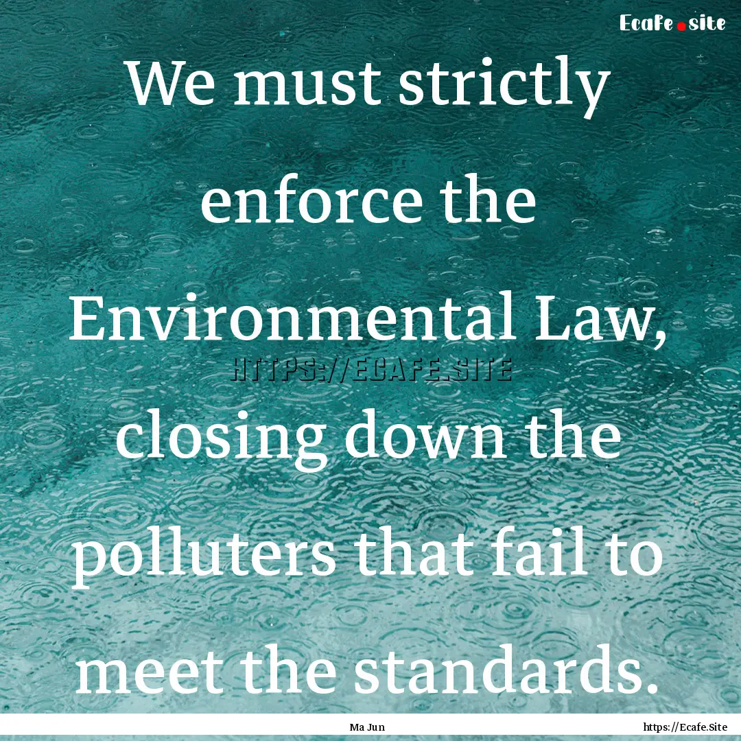 We must strictly enforce the Environmental.... : Quote by Ma Jun