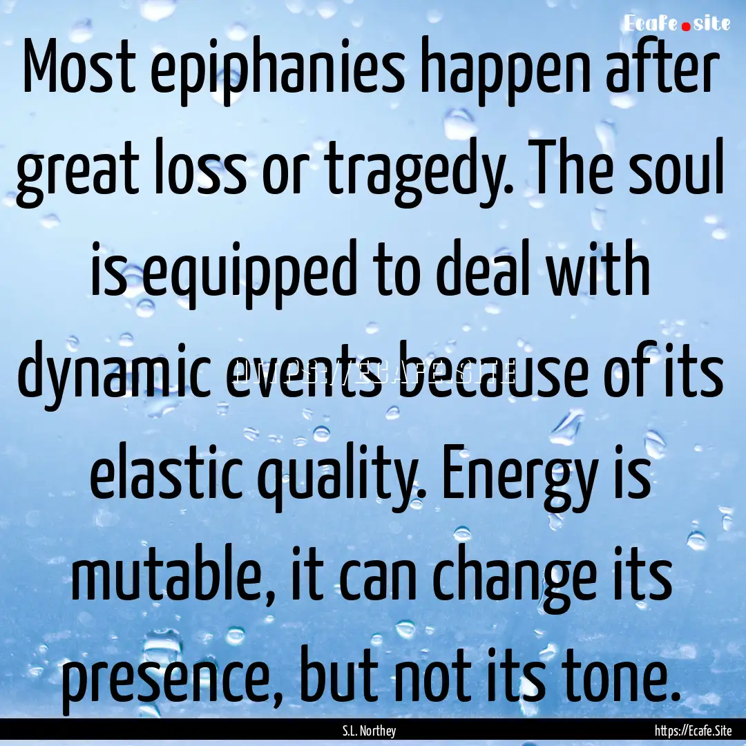 Most epiphanies happen after great loss or.... : Quote by S.L. Northey