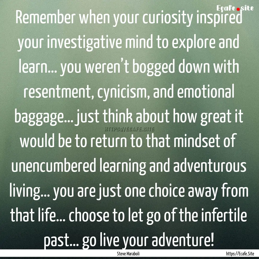 Remember when your curiosity inspired your.... : Quote by Steve Maraboli