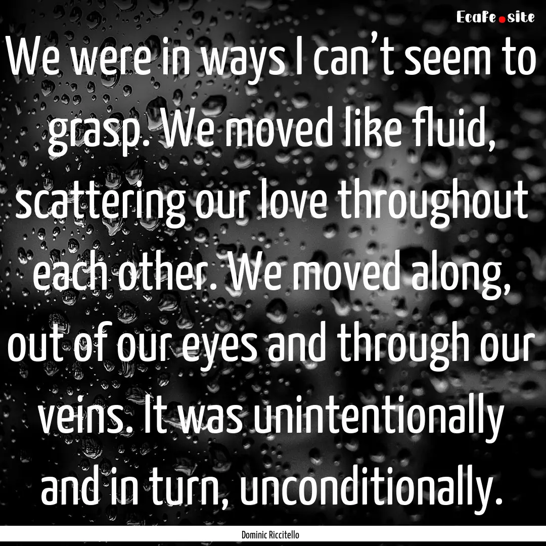 We were in ways I can’t seem to grasp..... : Quote by Dominic Riccitello