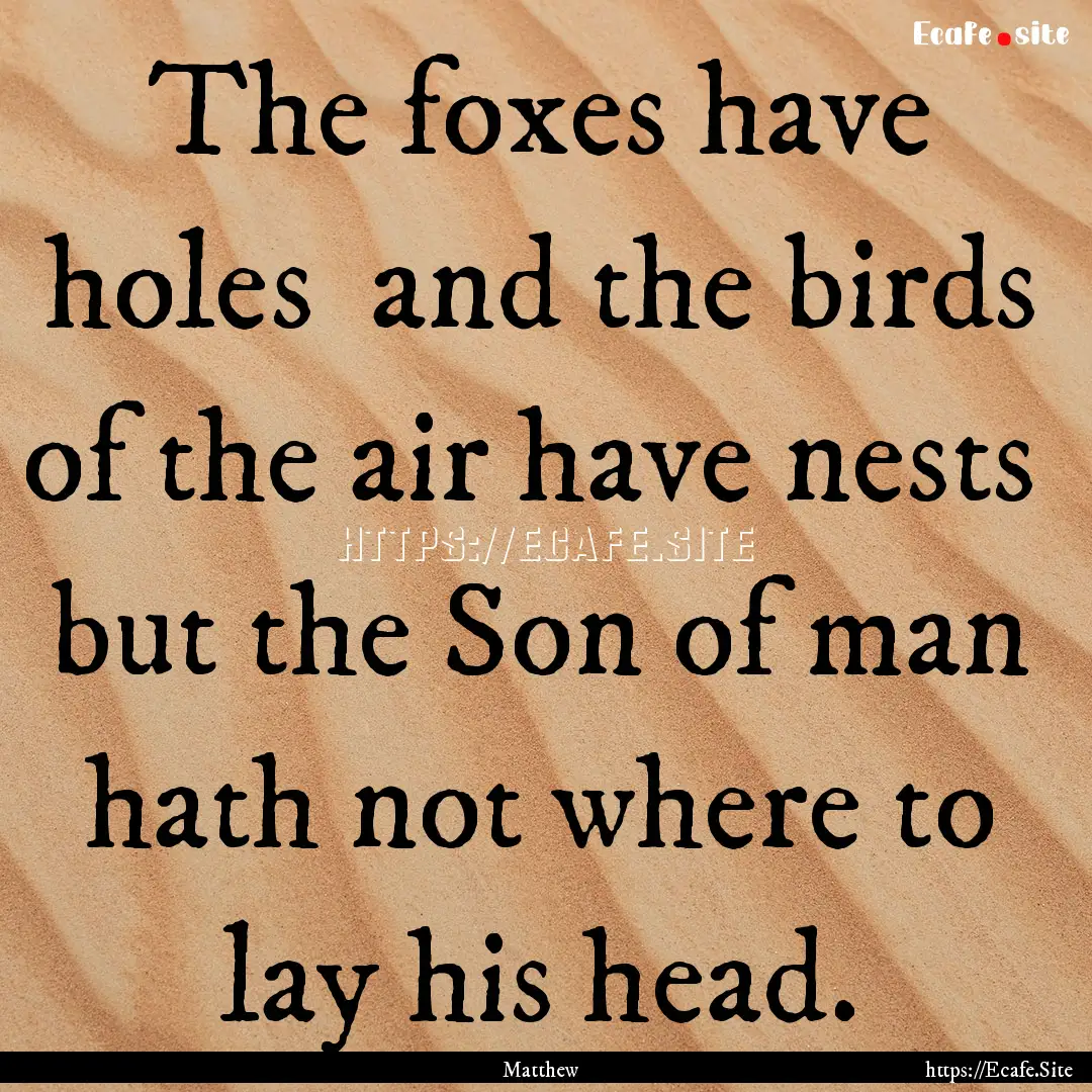 The foxes have holes and the birds of the.... : Quote by Matthew