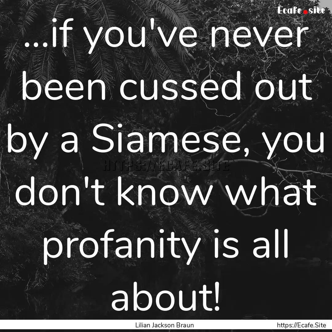 ...if you've never been cussed out by a Siamese,.... : Quote by Lilian Jackson Braun