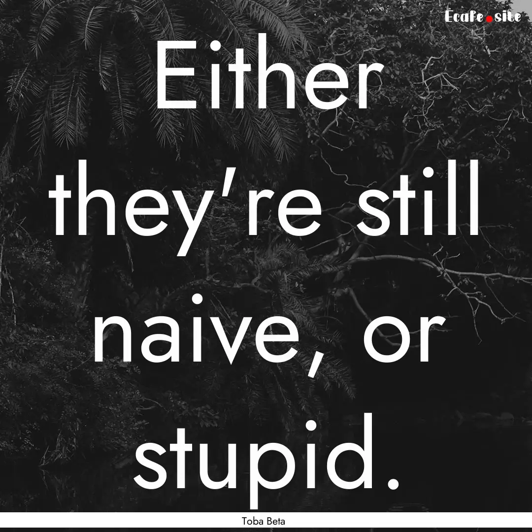 Either they're still naive, or stupid. : Quote by Toba Beta