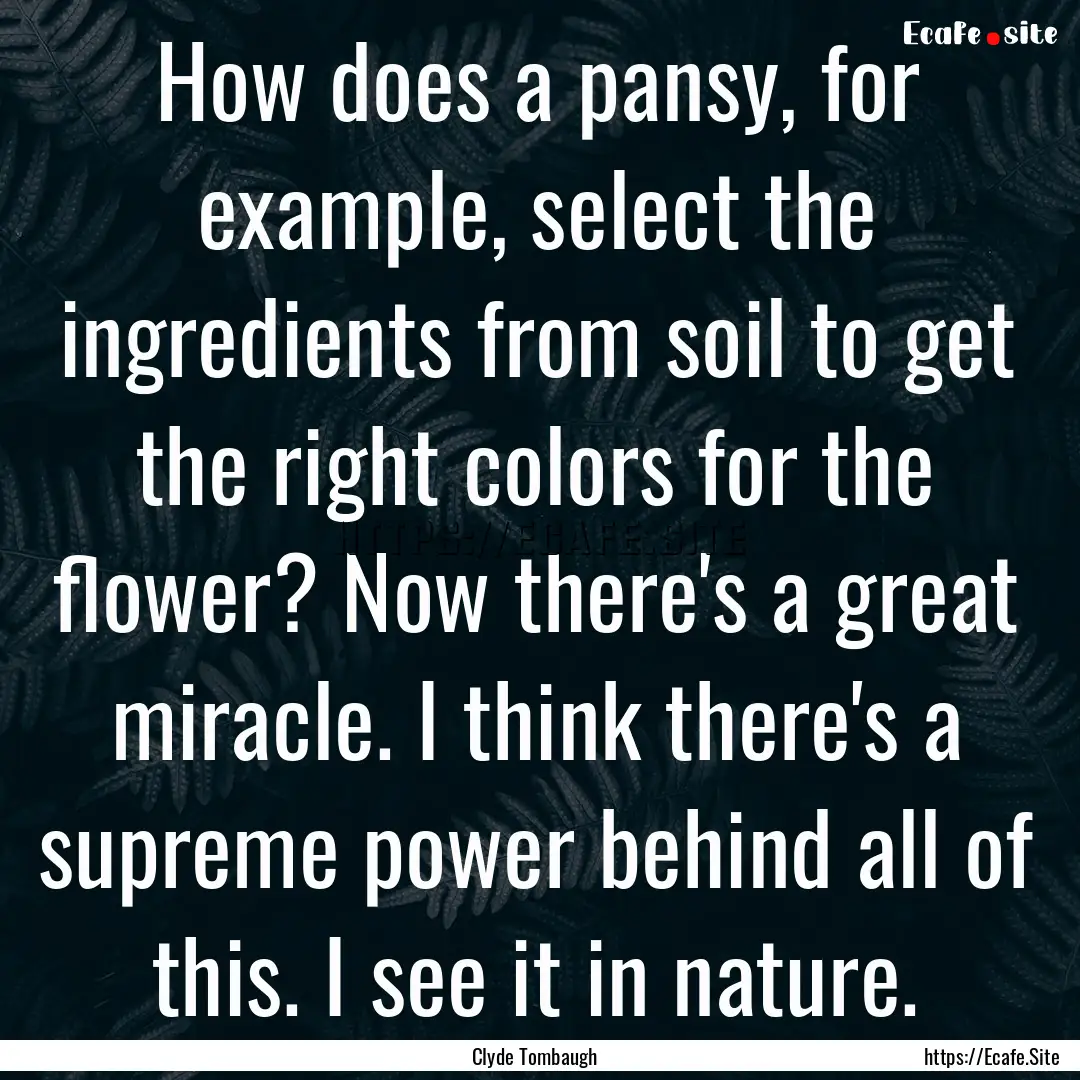 How does a pansy, for example, select the.... : Quote by Clyde Tombaugh