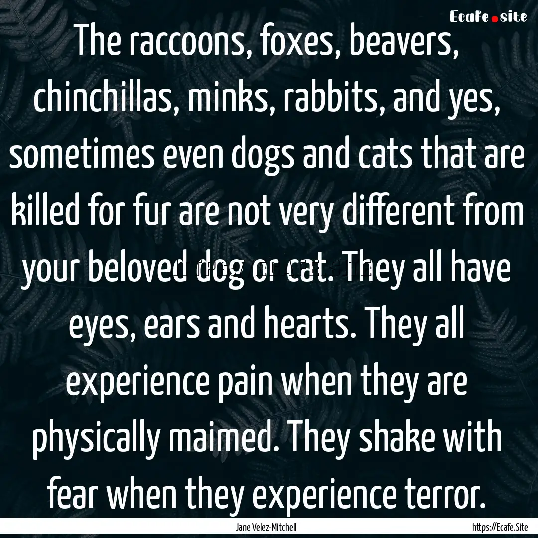 The raccoons, foxes, beavers, chinchillas,.... : Quote by Jane Velez-Mitchell