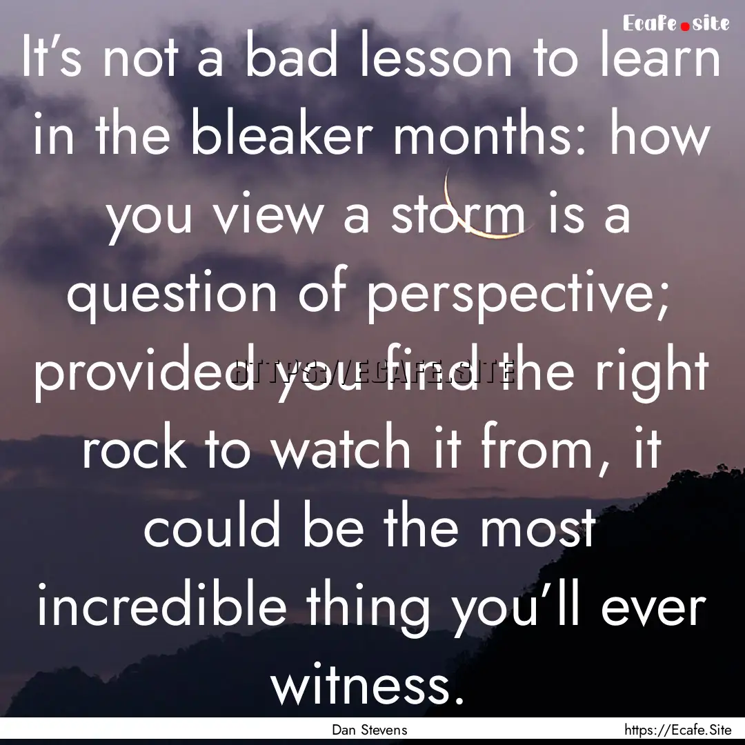 It’s not a bad lesson to learn in the bleaker.... : Quote by Dan Stevens