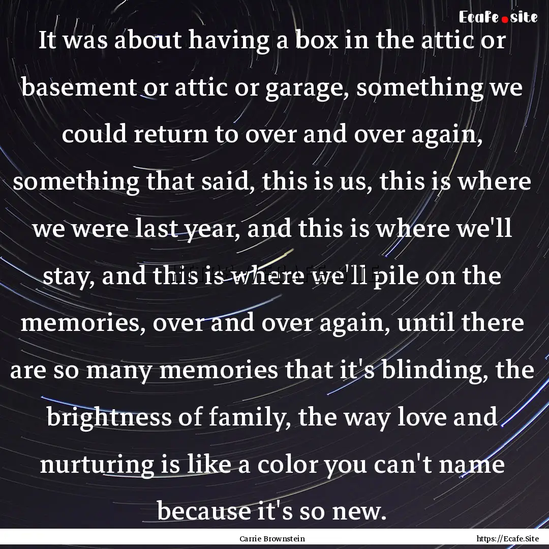 It was about having a box in the attic or.... : Quote by Carrie Brownstein