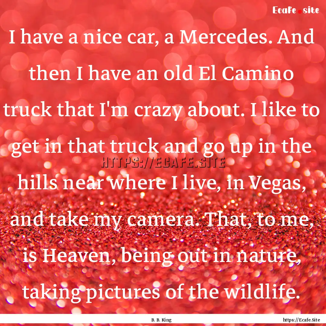 I have a nice car, a Mercedes. And then I.... : Quote by B. B. King