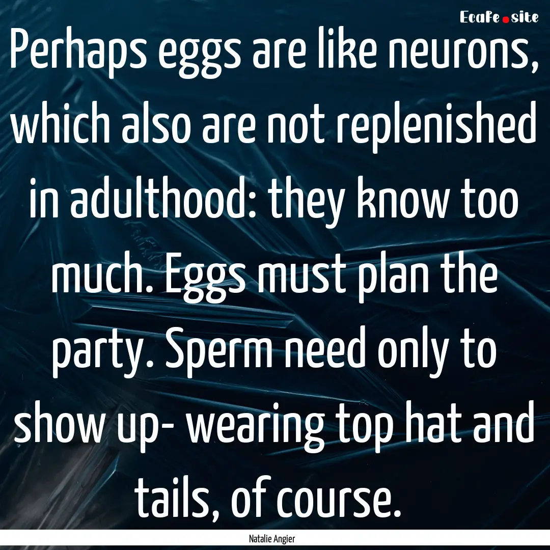 Perhaps eggs are like neurons, which also.... : Quote by Natalie Angier