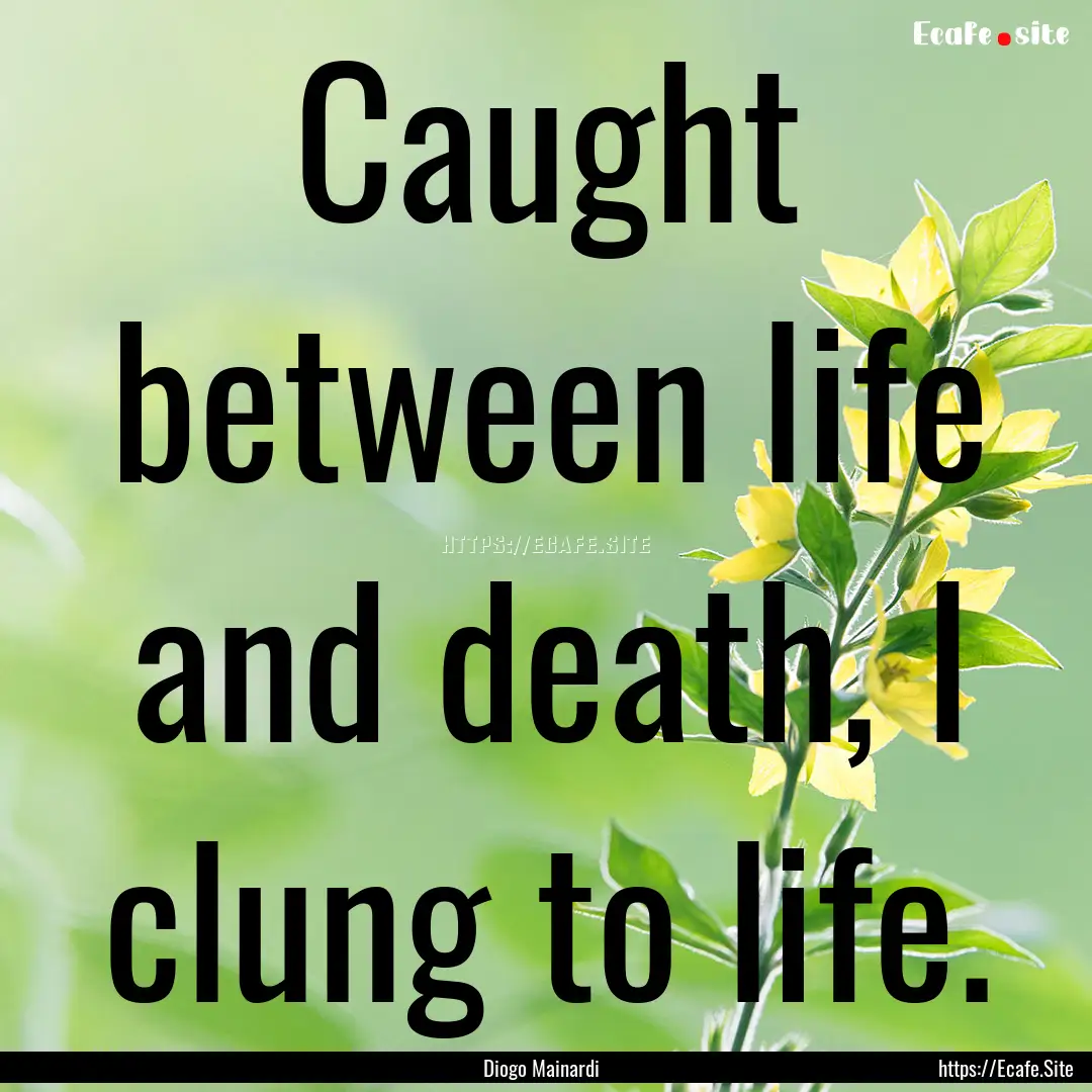 Caught between life and death, I clung to.... : Quote by Diogo Mainardi