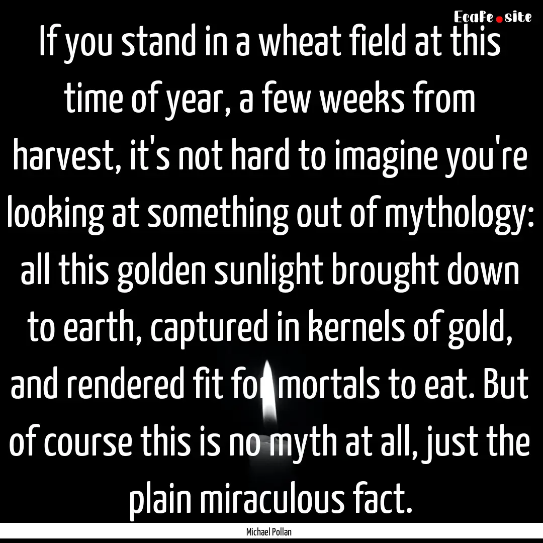 If you stand in a wheat field at this time.... : Quote by Michael Pollan