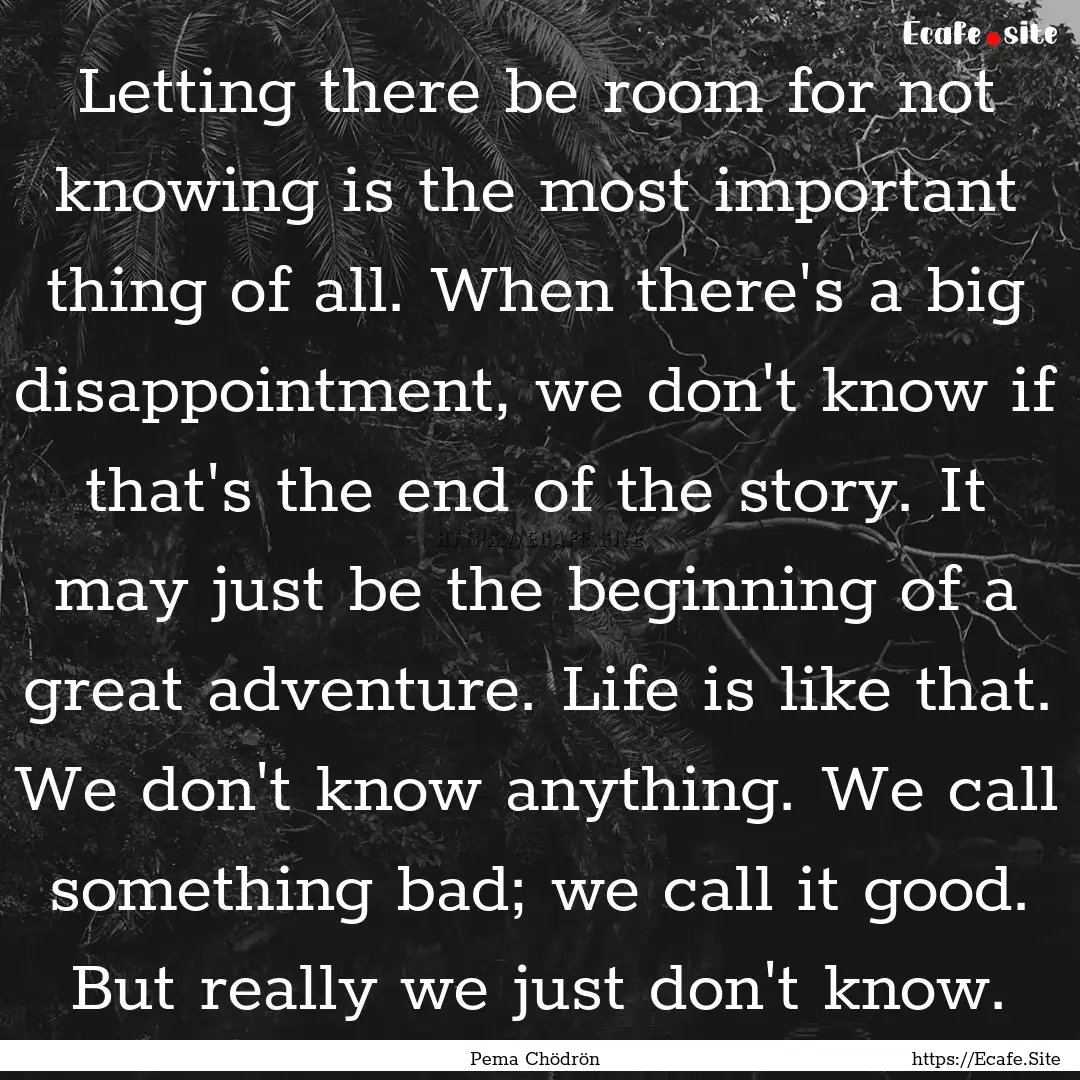 Letting there be room for not knowing is.... : Quote by Pema Chödrön