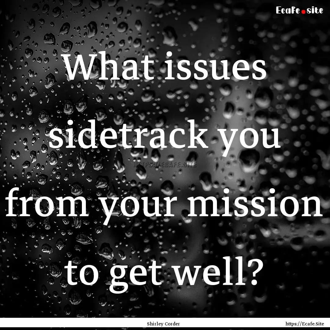 What issues sidetrack you from your mission.... : Quote by Shirley Corder