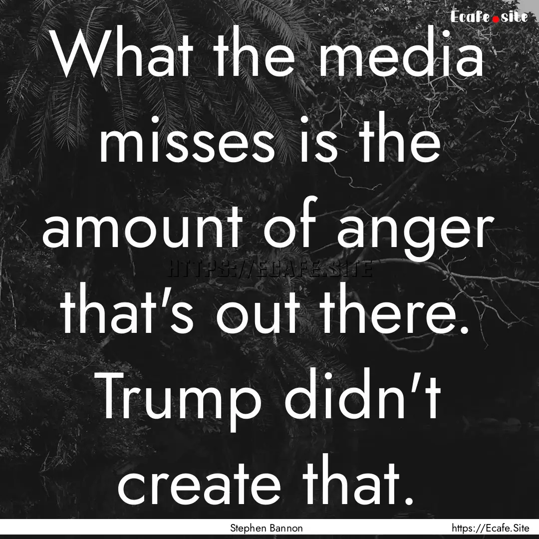 What the media misses is the amount of anger.... : Quote by Stephen Bannon