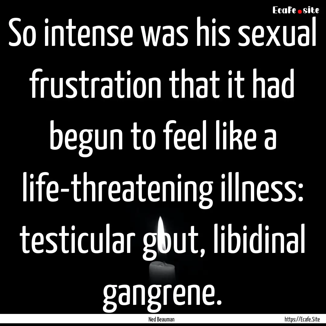 So intense was his sexual frustration that.... : Quote by Ned Beauman