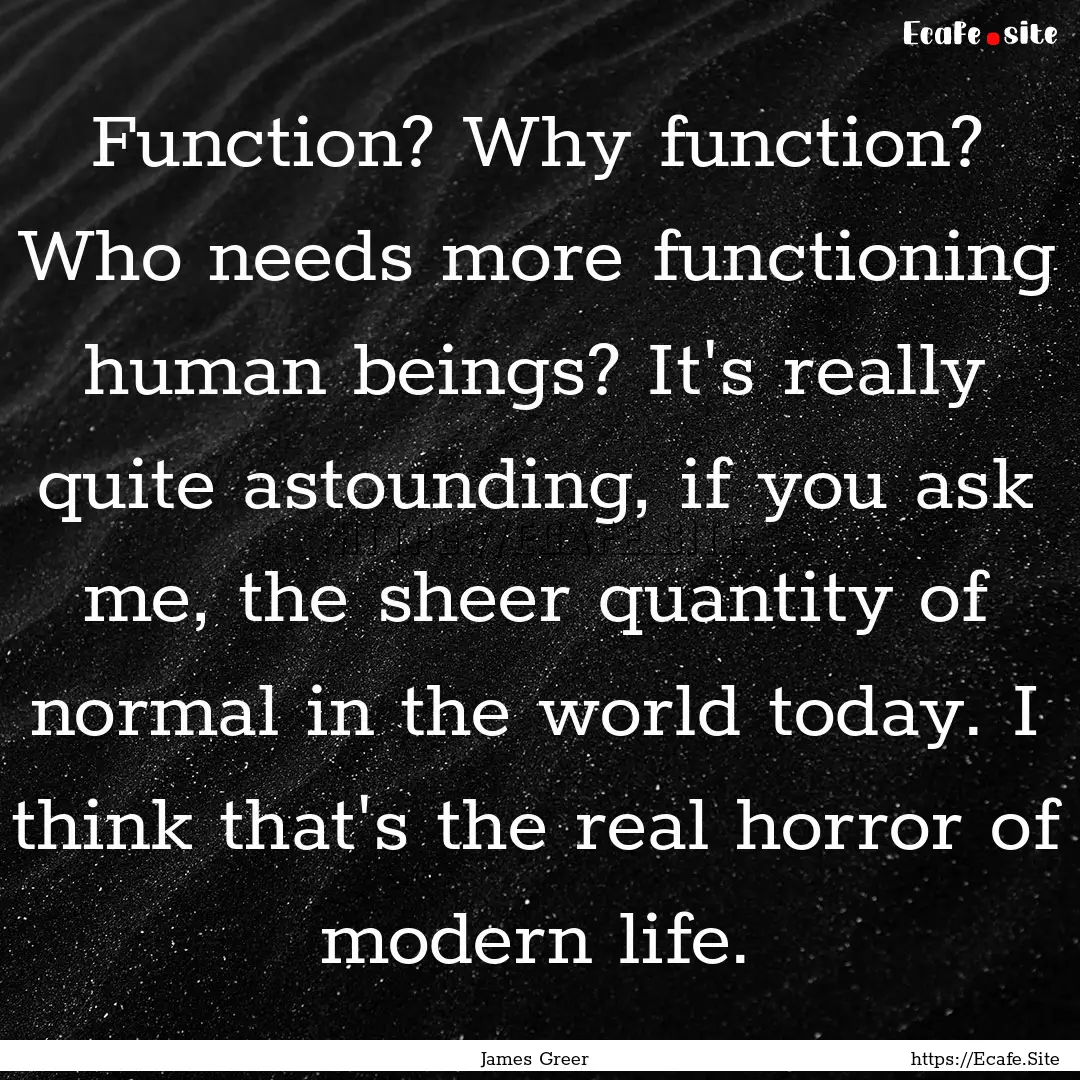 Function? Why function? Who needs more functioning.... : Quote by James Greer