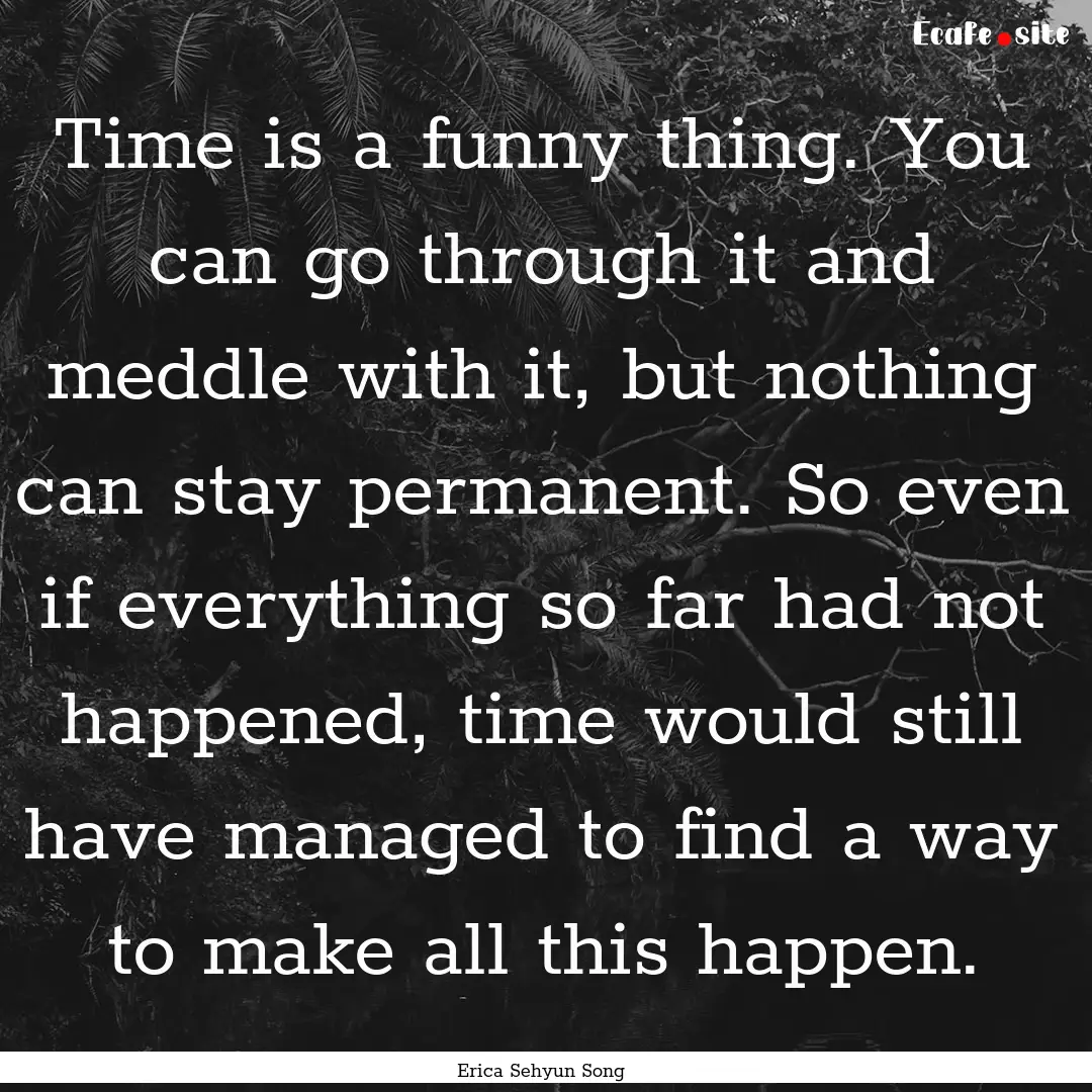 Time is a funny thing. You can go through.... : Quote by Erica Sehyun Song