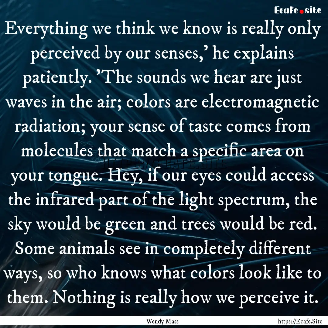 Everything we think we know is really only.... : Quote by Wendy Mass