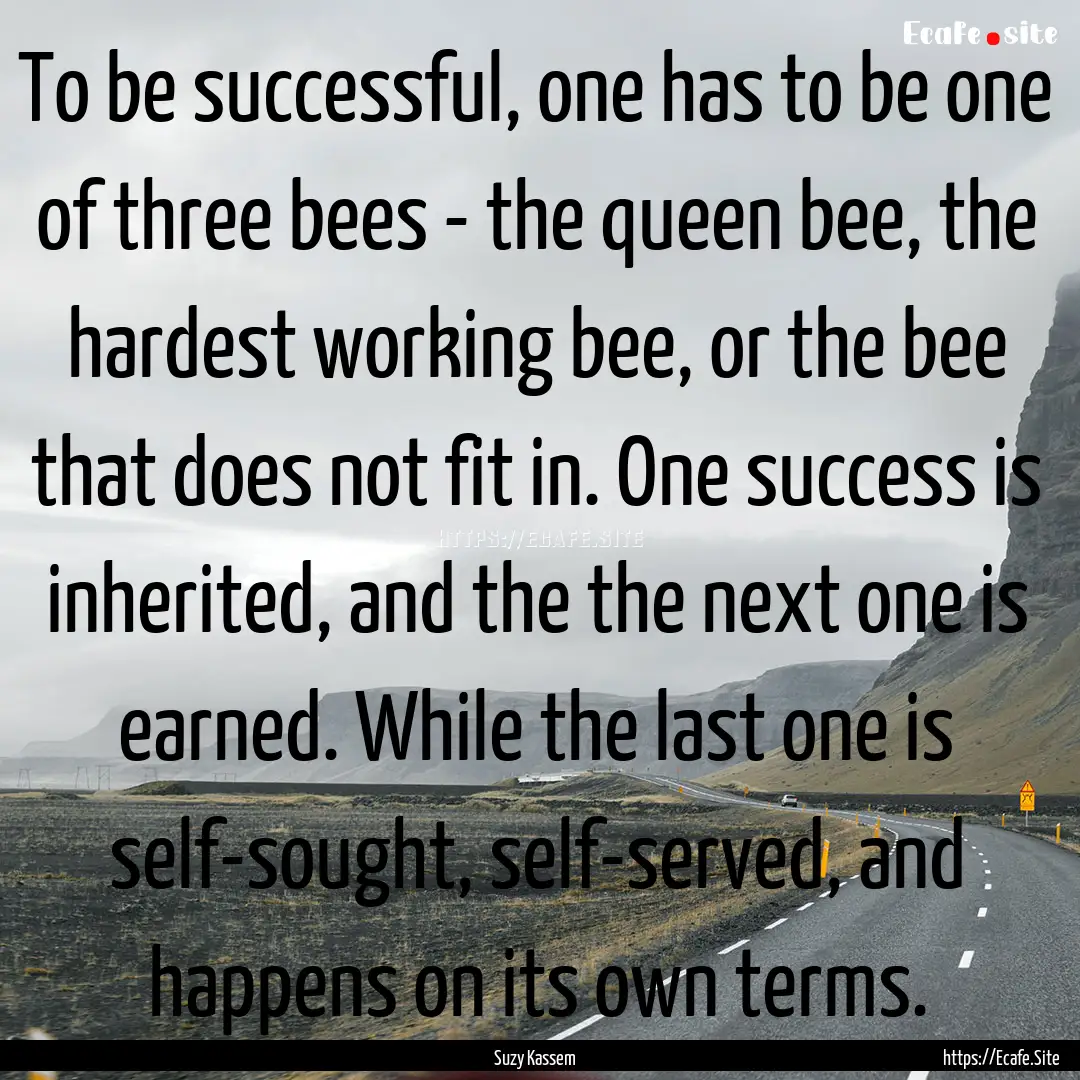 To be successful, one has to be one of three.... : Quote by Suzy Kassem