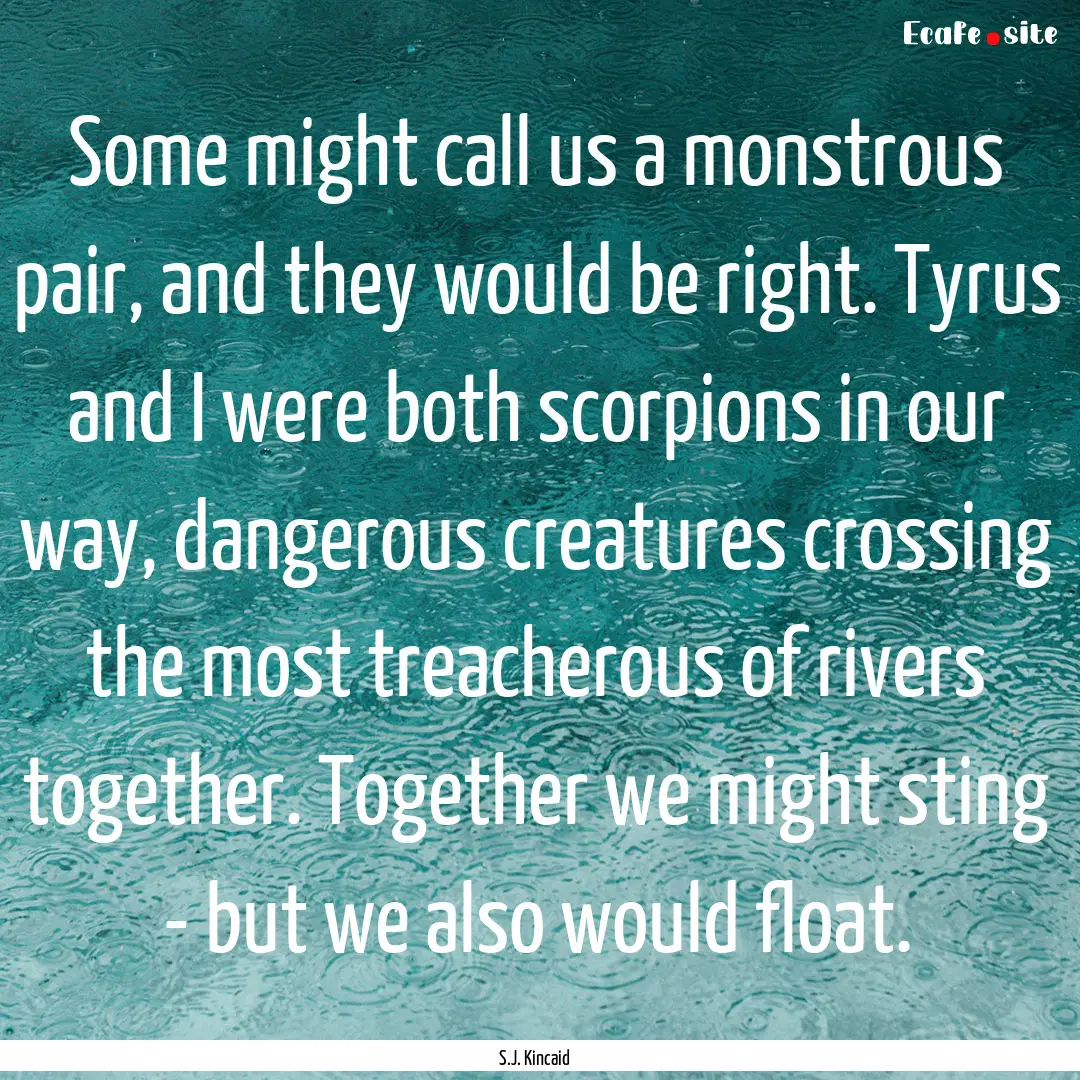 Some might call us a monstrous pair, and.... : Quote by S.J. Kincaid