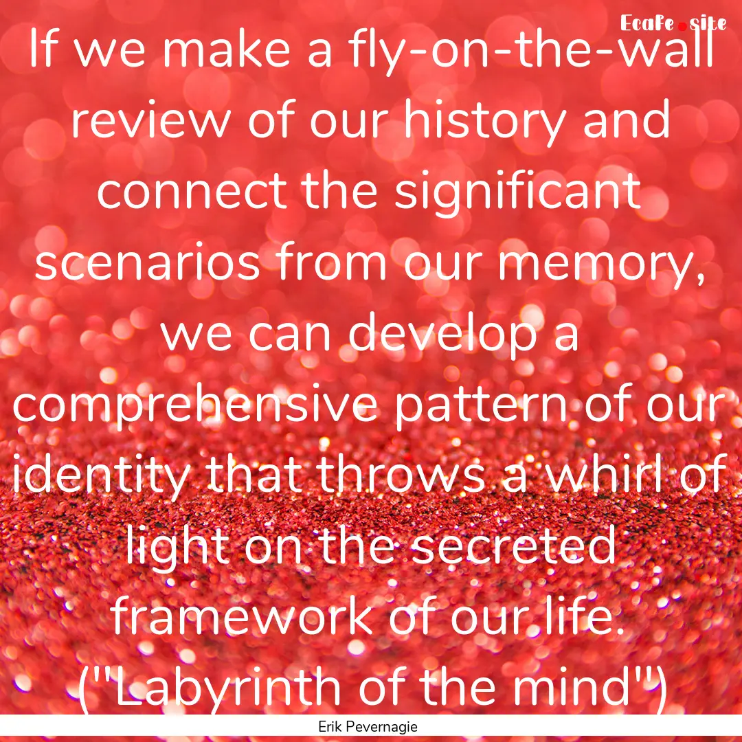 If we make a fly-on-the-wall review of our.... : Quote by Erik Pevernagie