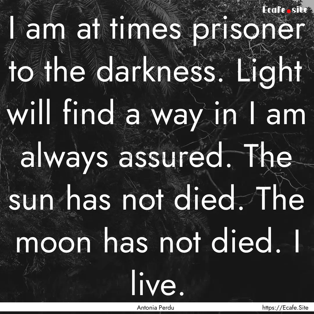 I am at times prisoner to the darkness. Light.... : Quote by Antonia Perdu