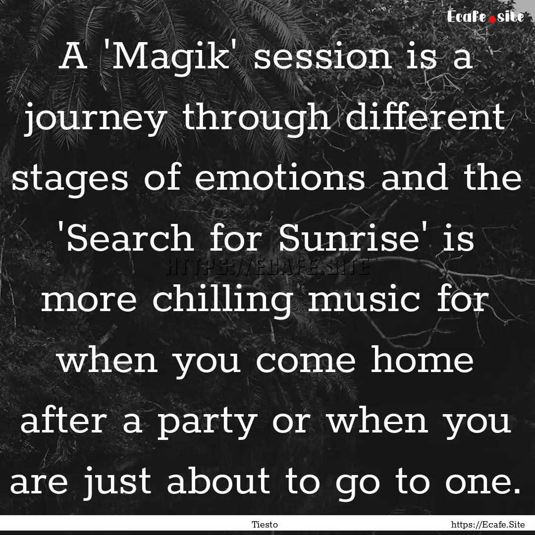 A 'Magik' session is a journey through different.... : Quote by Tiesto