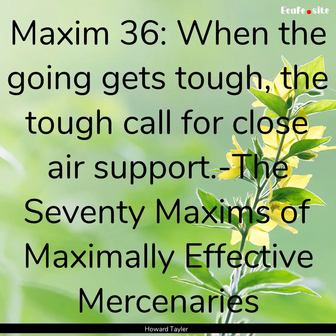 Maxim 36: When the going gets tough, the.... : Quote by Howard Tayler