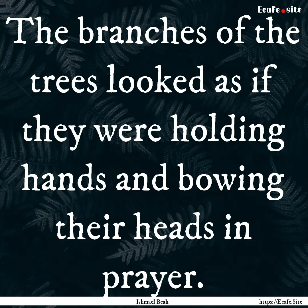 The branches of the trees looked as if they.... : Quote by Ishmael Beah