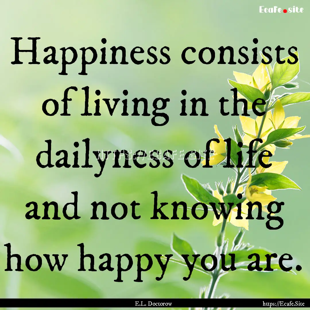 Happiness consists of living in the dailyness.... : Quote by E.L. Doctorow