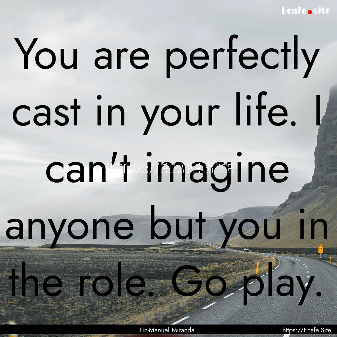 You are perfectly cast in your life. I can't.... : Quote by Lin-Manuel Miranda