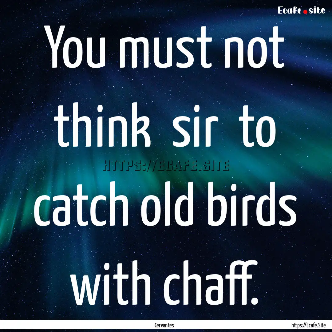 You must not think sir to catch old birds.... : Quote by Cervantes