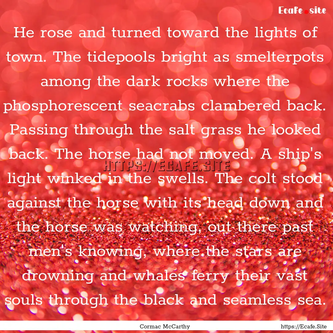 He rose and turned toward the lights of town..... : Quote by Cormac McCarthy