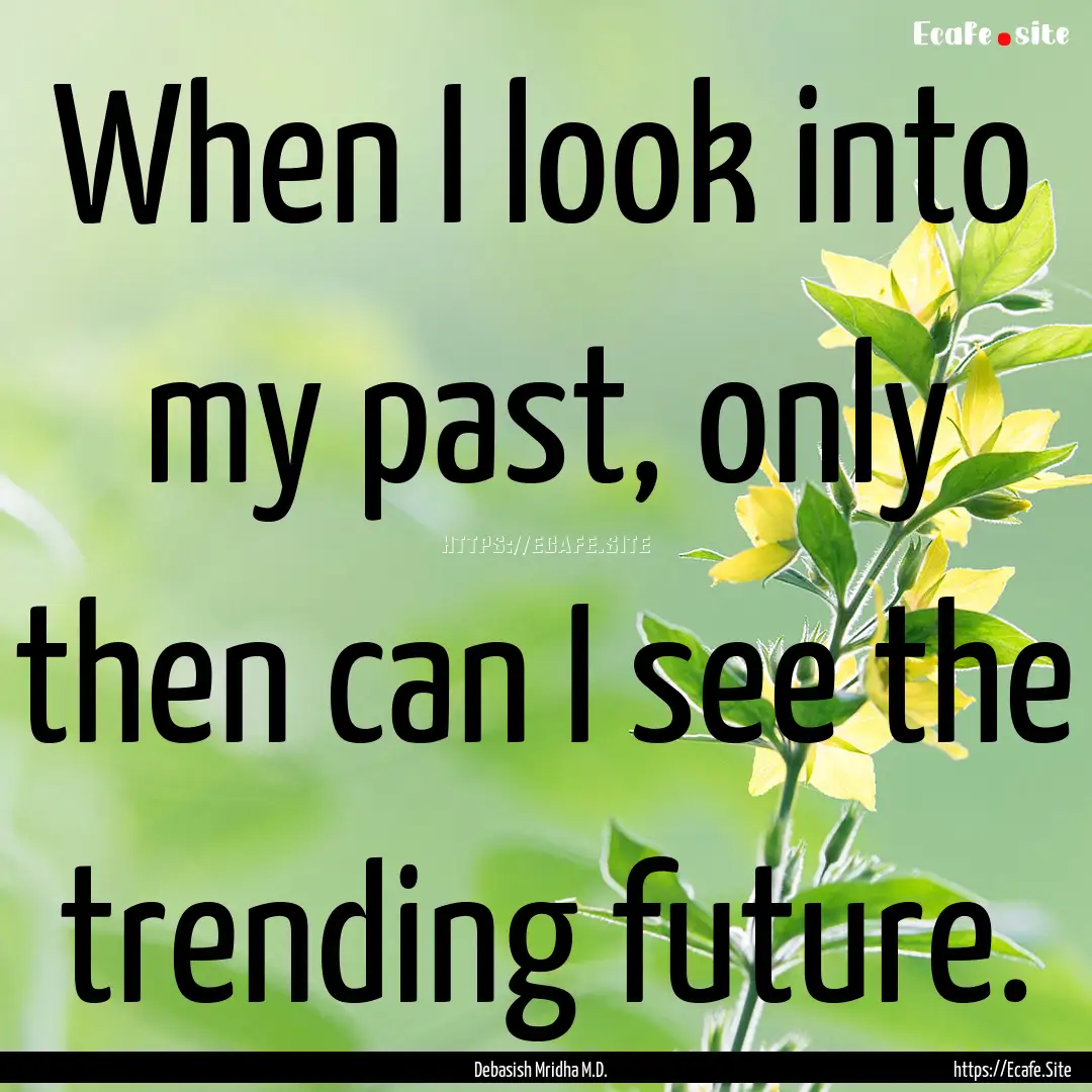 When I look into my past, only then can I.... : Quote by Debasish Mridha M.D.