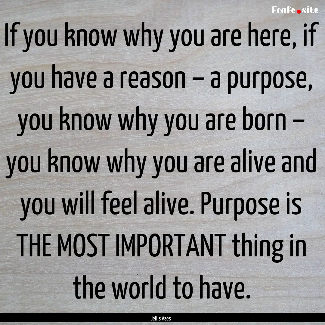 If you know why you are here, if you have.... : Quote by Jellis Vaes