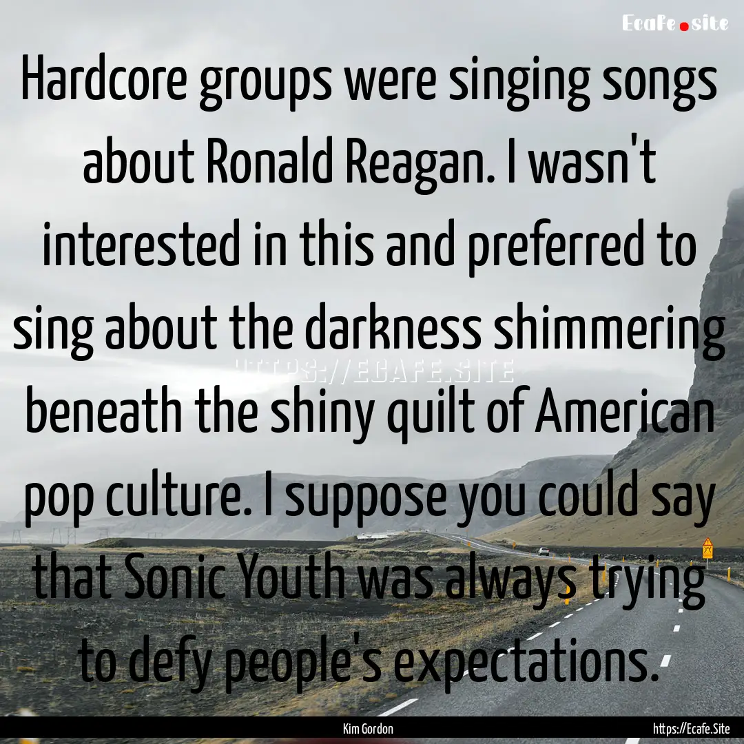 Hardcore groups were singing songs about.... : Quote by Kim Gordon