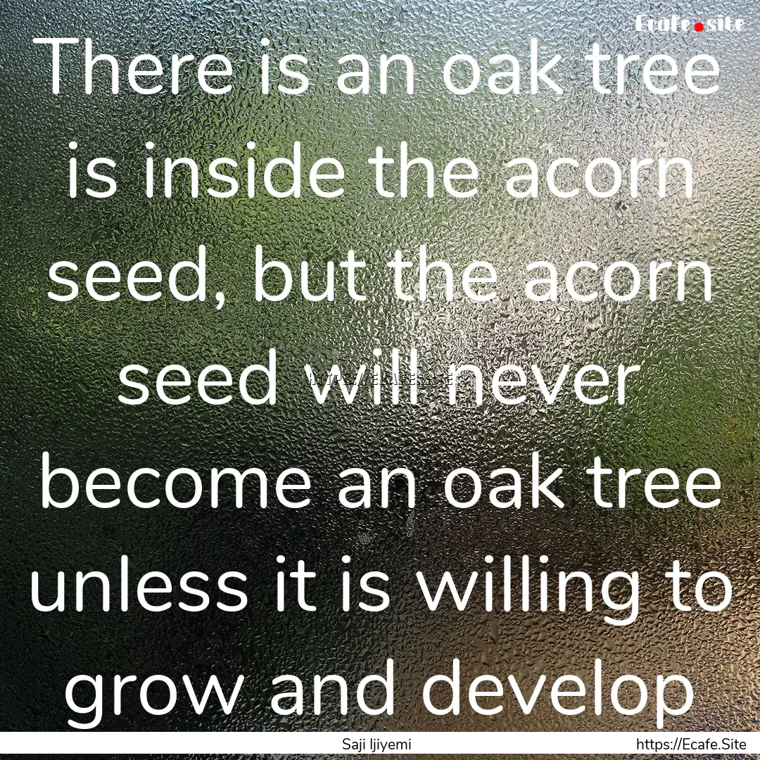 There is an oak tree is inside the acorn.... : Quote by Saji Ijiyemi