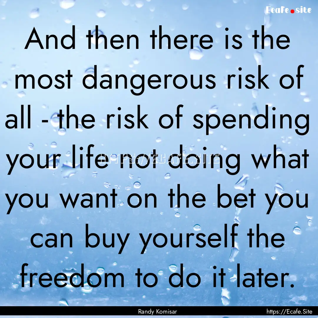 And then there is the most dangerous risk.... : Quote by Randy Komisar