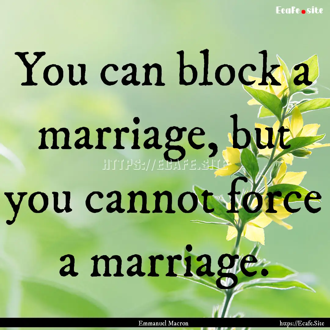 You can block a marriage, but you cannot.... : Quote by Emmanuel Macron