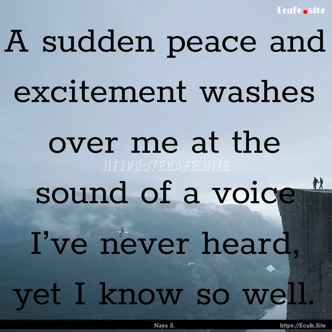 A sudden peace and excitement washes over.... : Quote by Naya S.