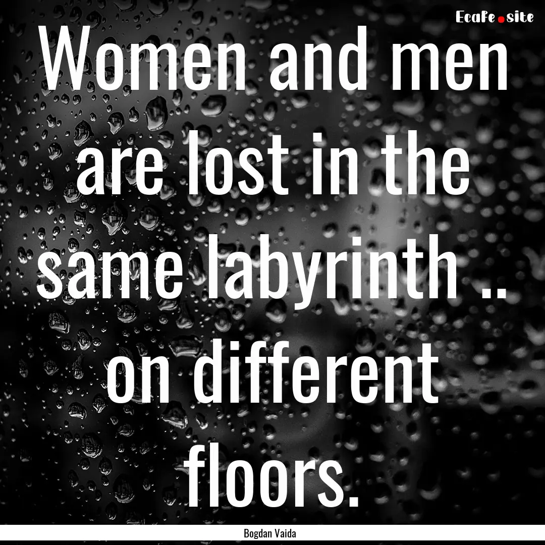 Women and men are lost in the same labyrinth.... : Quote by Bogdan Vaida